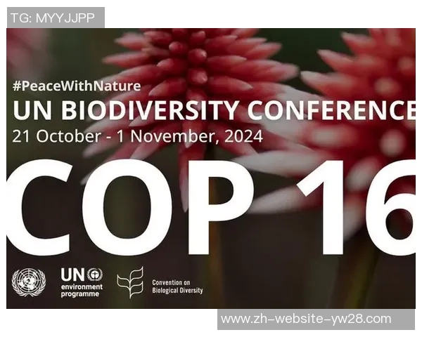 奥兰多与蒙特利尔激战正酣谁能在这场较量中笑到最后